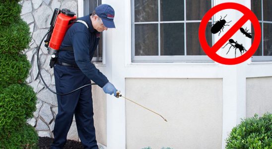 Narlıdere Akrep İlaçlama böcek ilaçlama ve haşere kontrolü — ilaclama-tr.com